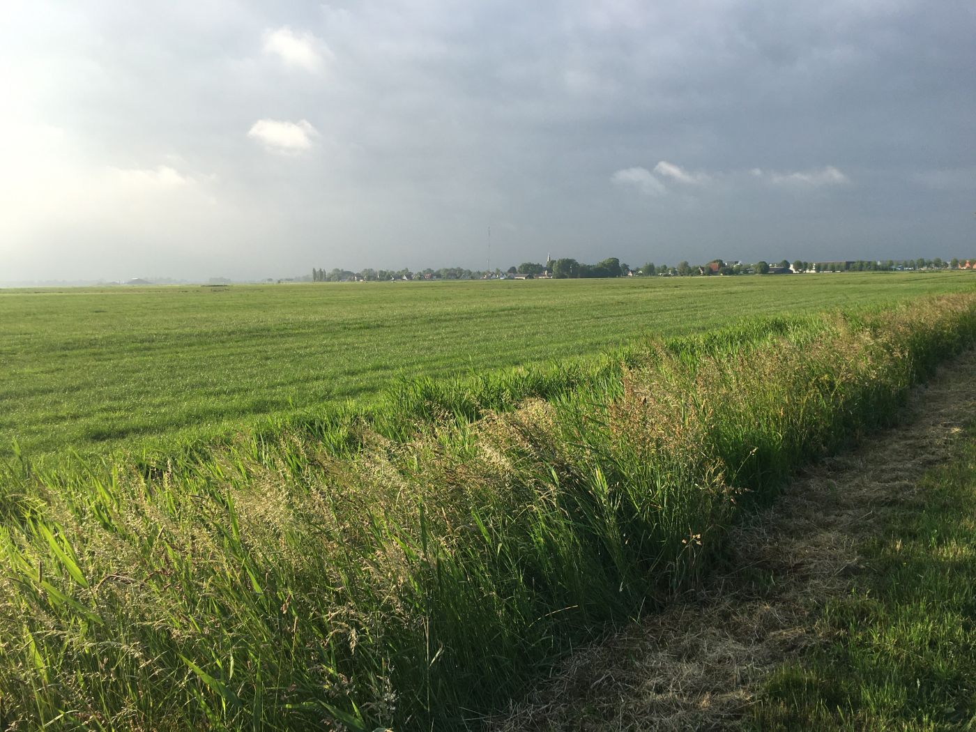Abbengawiersterdyk