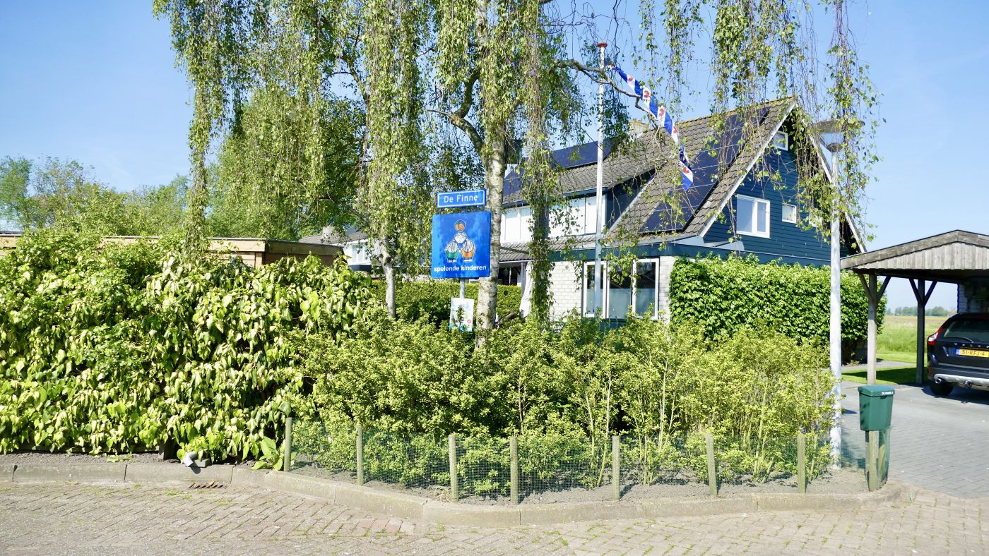 De Finne
